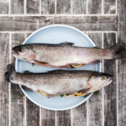 pescetarisk kost